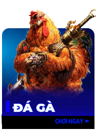 Đá gà